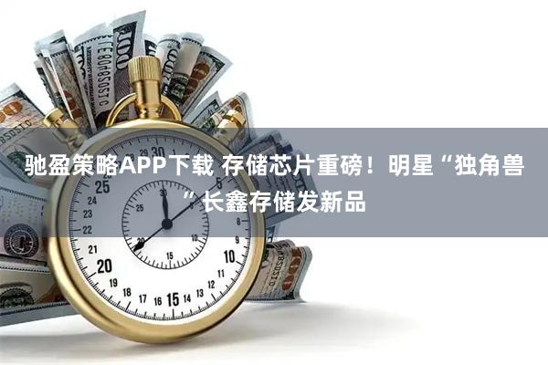 驰盈策略APP下载 存储芯片重磅！明星“独角兽”长鑫存储发新品