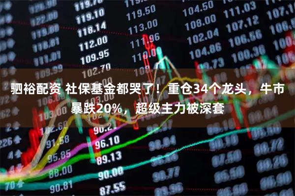 驷裕配资 社保基金都哭了！重仓34个龙头，牛市暴跌20%，超级主力被深套