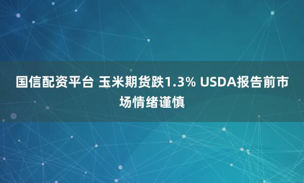 国信配资平台 玉米期货跌1.3% USDA报告前市场情绪谨慎